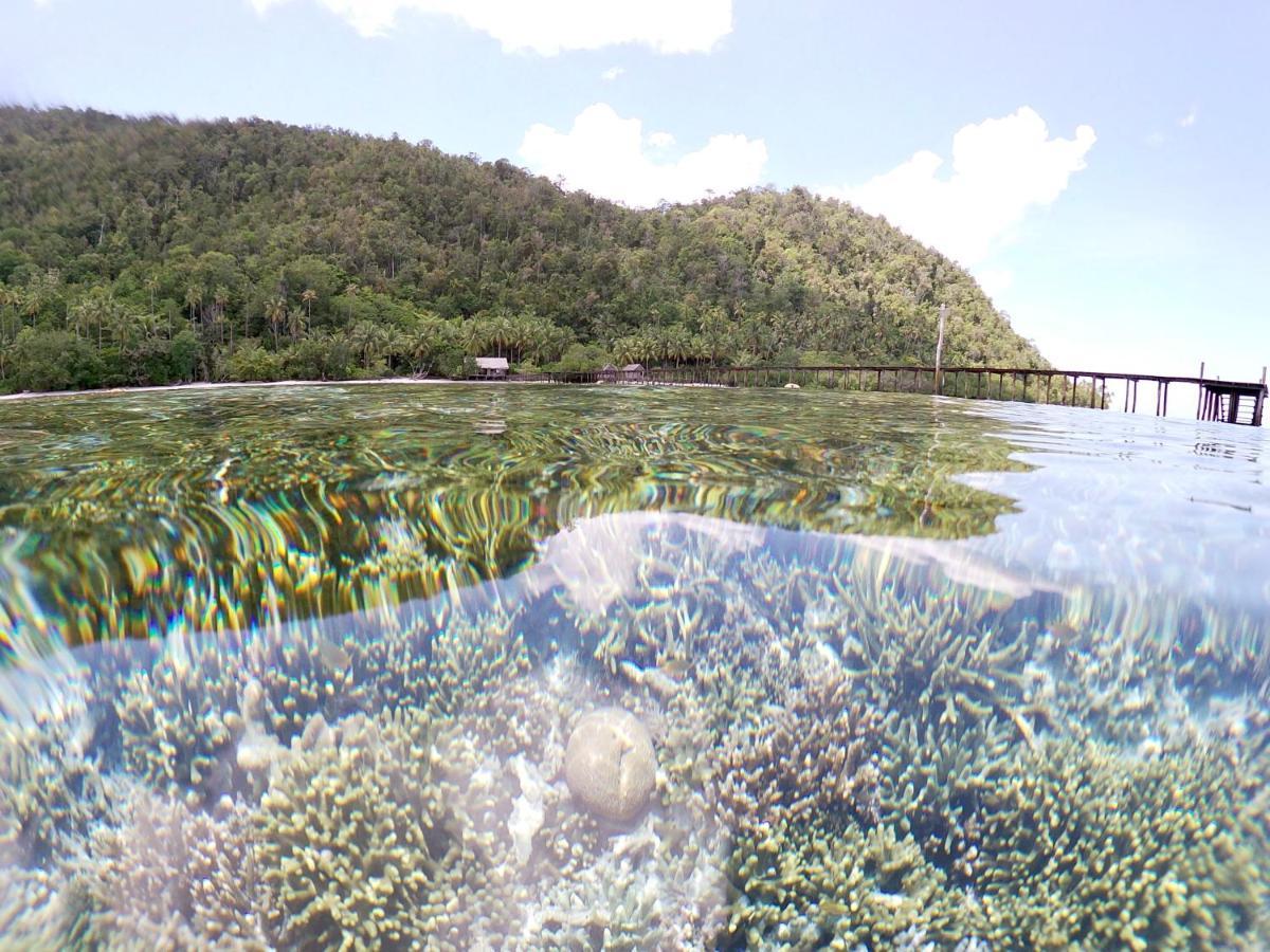 Nyande Raja Ampat Hotel Pulau Mansuar Exterior foto